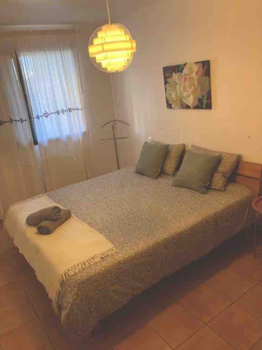 Apartment Chez Fileo Avec Piscine En